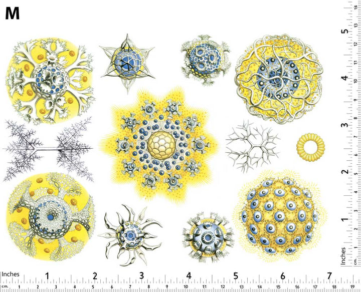 Décalcomanies de créatures marines bleues/jaunes - Non adapté pour Produits Alimentaires - Céramique Cône 017 - Verre fusionné - Émail