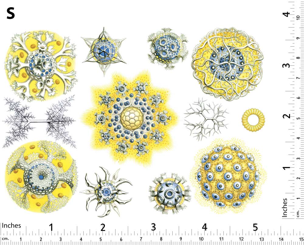 Décalcomanies de créatures marines bleues/jaunes - Non adapté pour Produits Alimentaires - Céramique Cône 017 - Verre fusionné - Émail