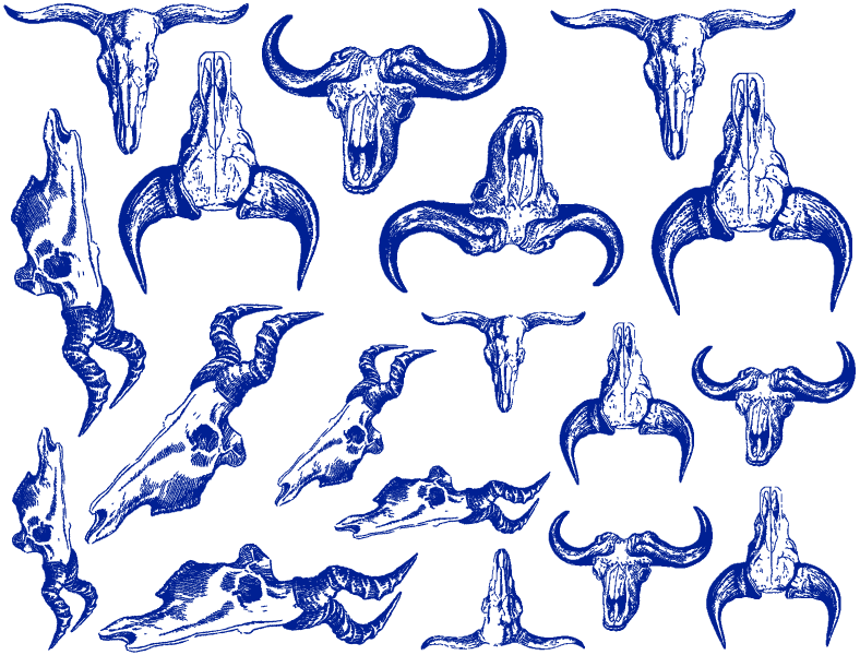 Crâne de taureau Décalcomanies - Céramique Cône 017 - Verre fusionné - Émail