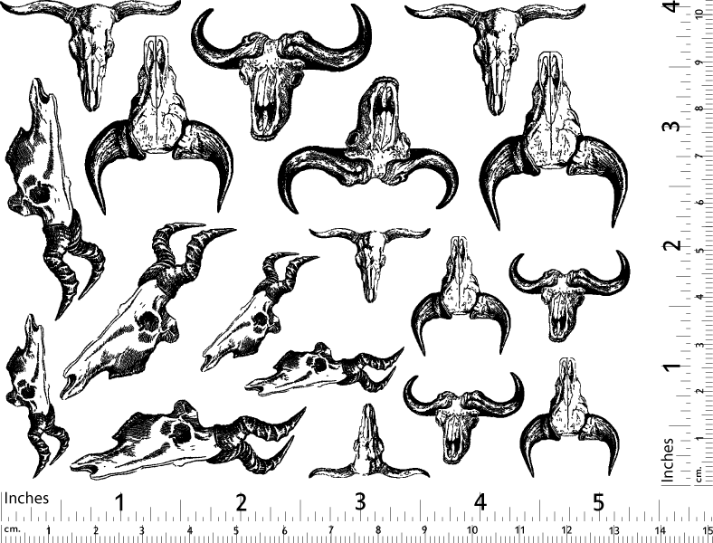 Crâne de taureau Décalcomanies - Céramique Cône 017 - Verre fusionné - Émail