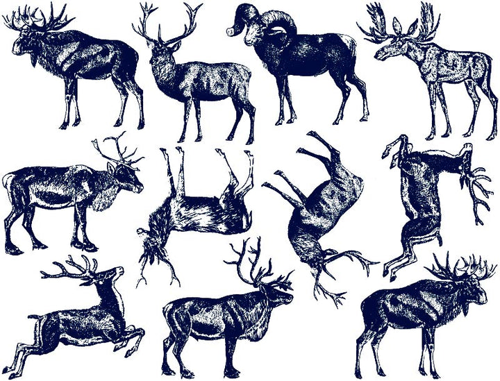 Antler Animal Decals - Cone 6 - Inglaze 