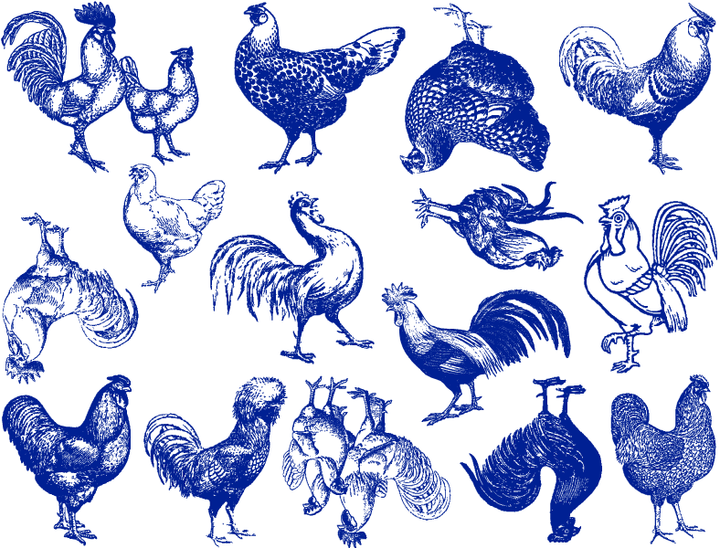 Vintage Chicken Decals - Ceramic Cone 017 - Fused Glass - Enamel