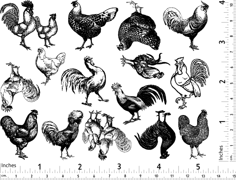 Vintage Chicken Decals - Glassware - Enamel