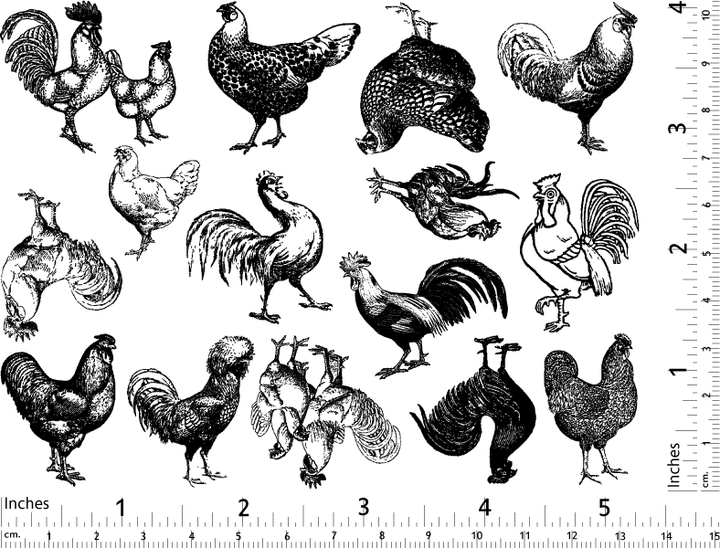 Vintage Chicken Decals - Glassware - Enamel
