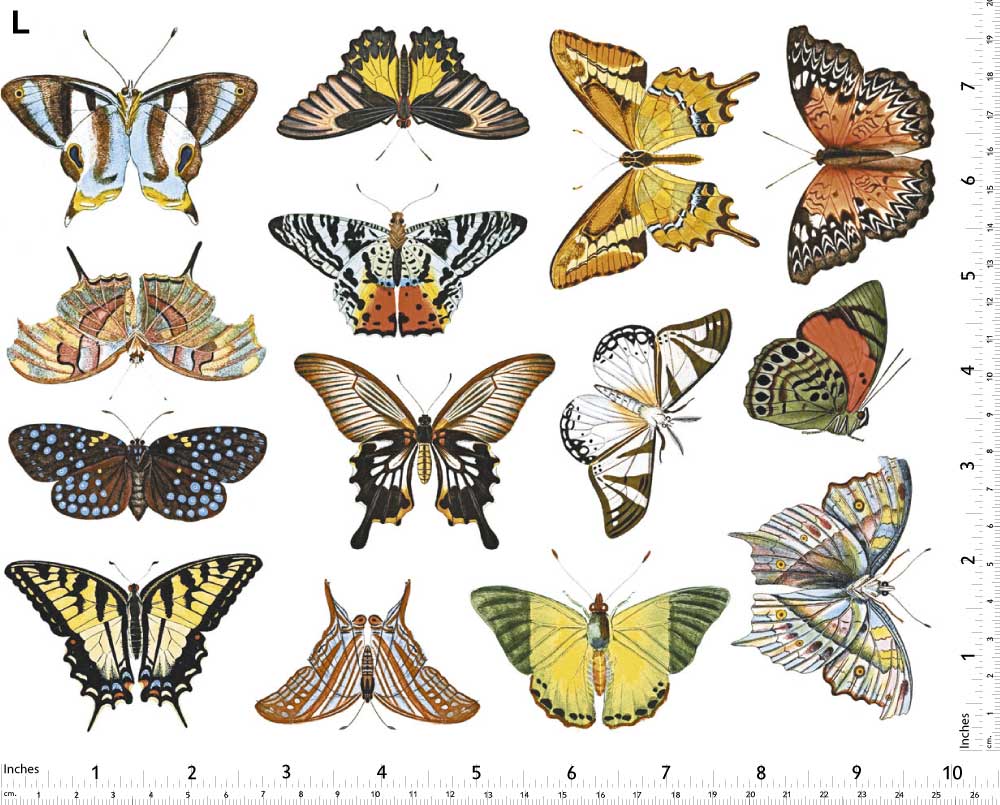 Papillon Coloré #1 Décalcomanies - Non adapté pour Produits Alimentaires - Céramique Cône 017 - Verre Fusionné - Émail