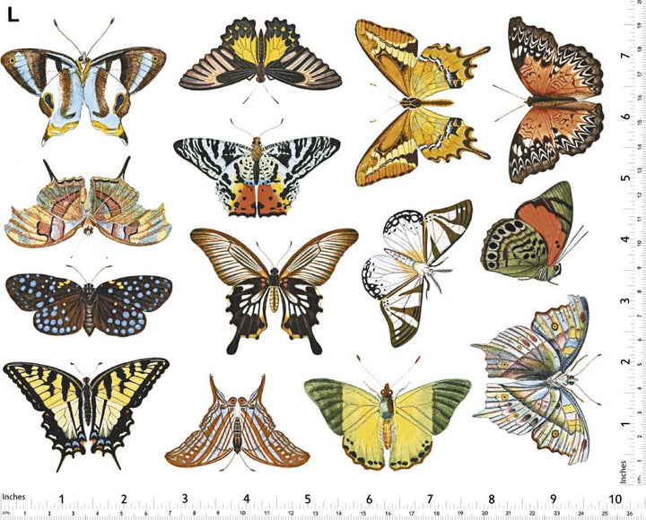 Papillon Coloré #1 Décalcomanies - Non adapté pour Produits Alimentaires - Céramique Cône 017 - Verre Fusionné - Émail