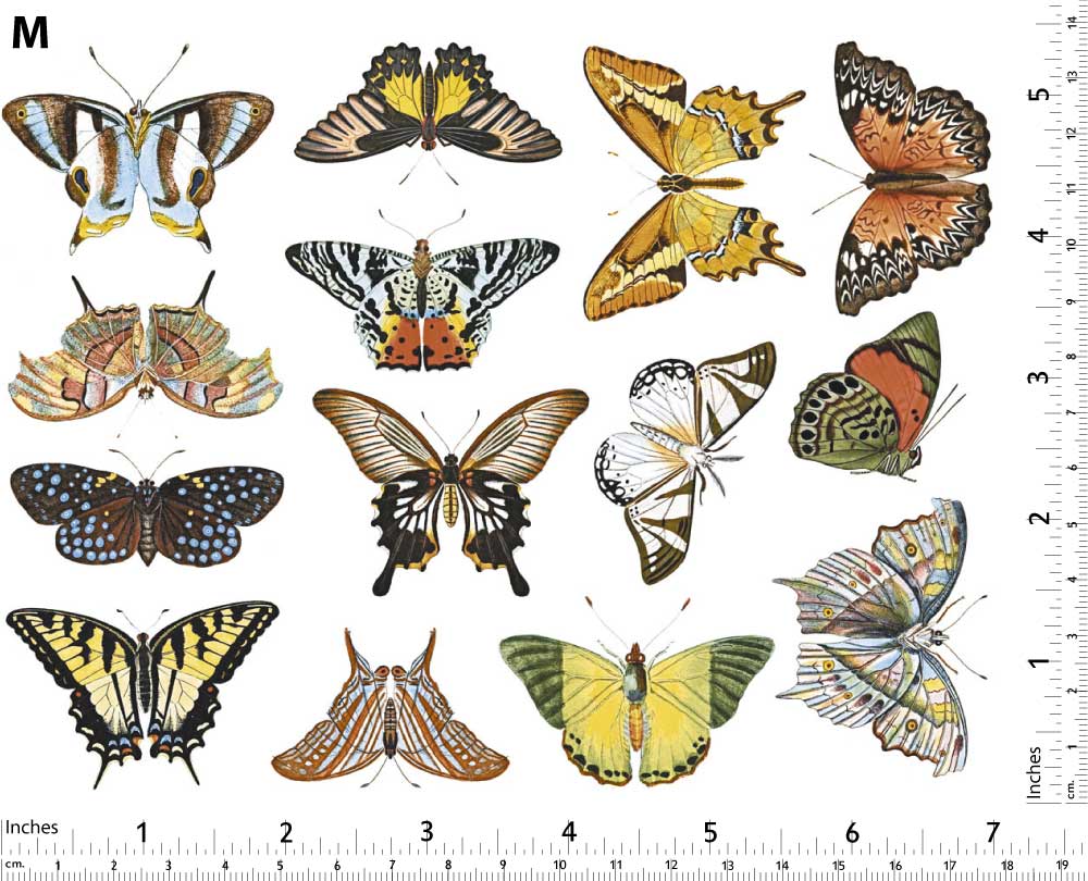 Papillon Coloré #1 Décalcomanies - Non adapté pour Produits Alimentaires - Céramique Cône 017 - Verre Fusionné - Émail