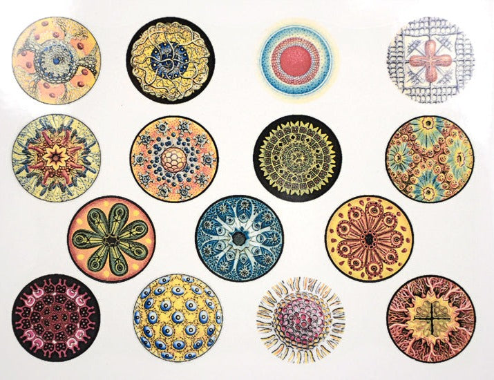 Décalcomanies cercles colorés - Céramique En-glaçure 2000°F/1100°C - Pour produits alimentaires