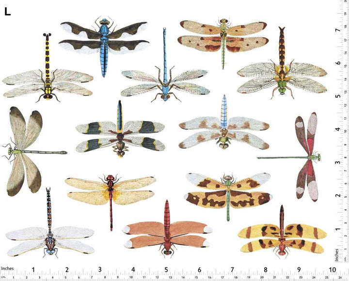 Décalcomanies Libellules Colorées - Non adapté pour Produits Alimentaires - Céramique Cône 017 - Verre fusionné