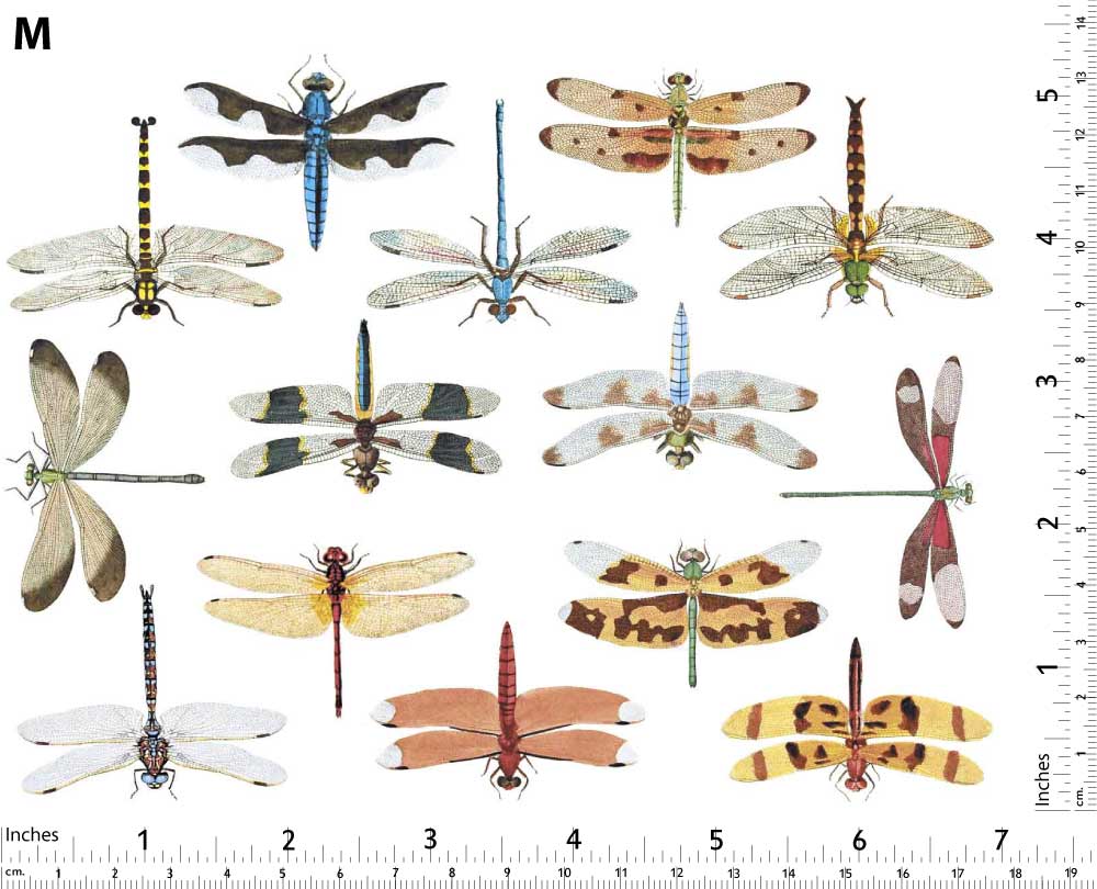 Décalcomanies Libellules Colorées - Non adapté pour Produits Alimentaires - Céramique Cône 017 - Verre fusionné