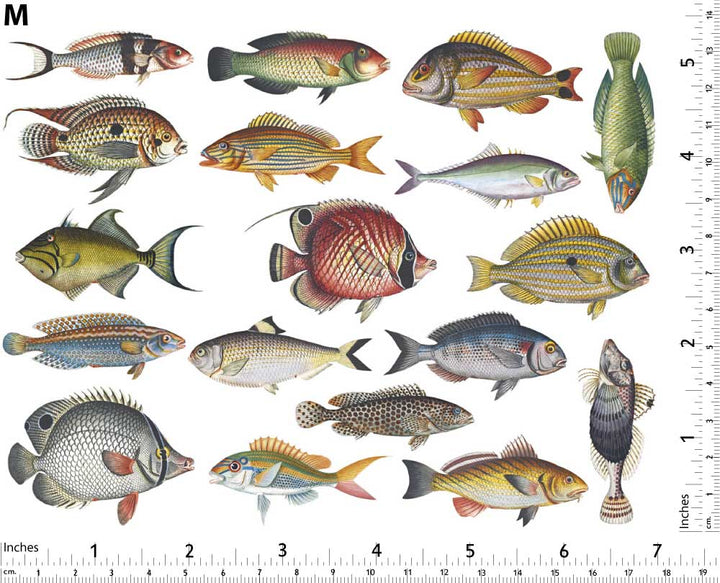 Bunte Fische #1 Aufkleber - Nicht lebensmittelecht - Keramikkegel 017 - Geschmolzenes Glas