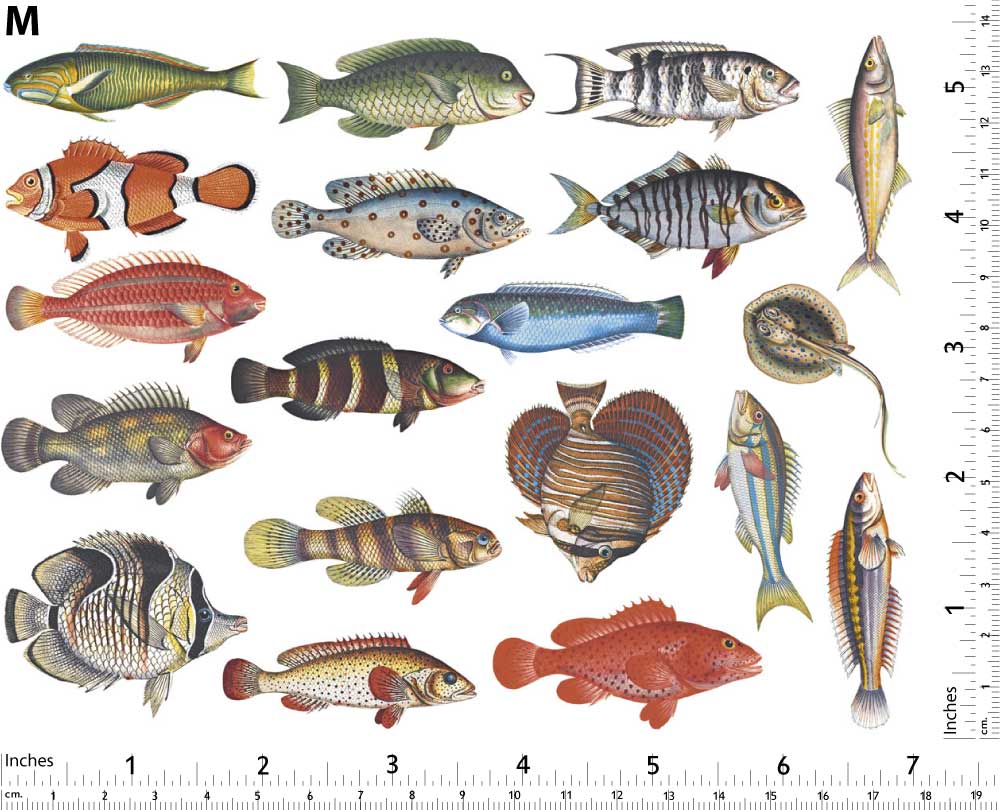 Poissons Colorés #2 Décalcomanies - Non adapté pour Produits Alimentaires - Céramique Cône 017 - Verre Fusionné - Émail