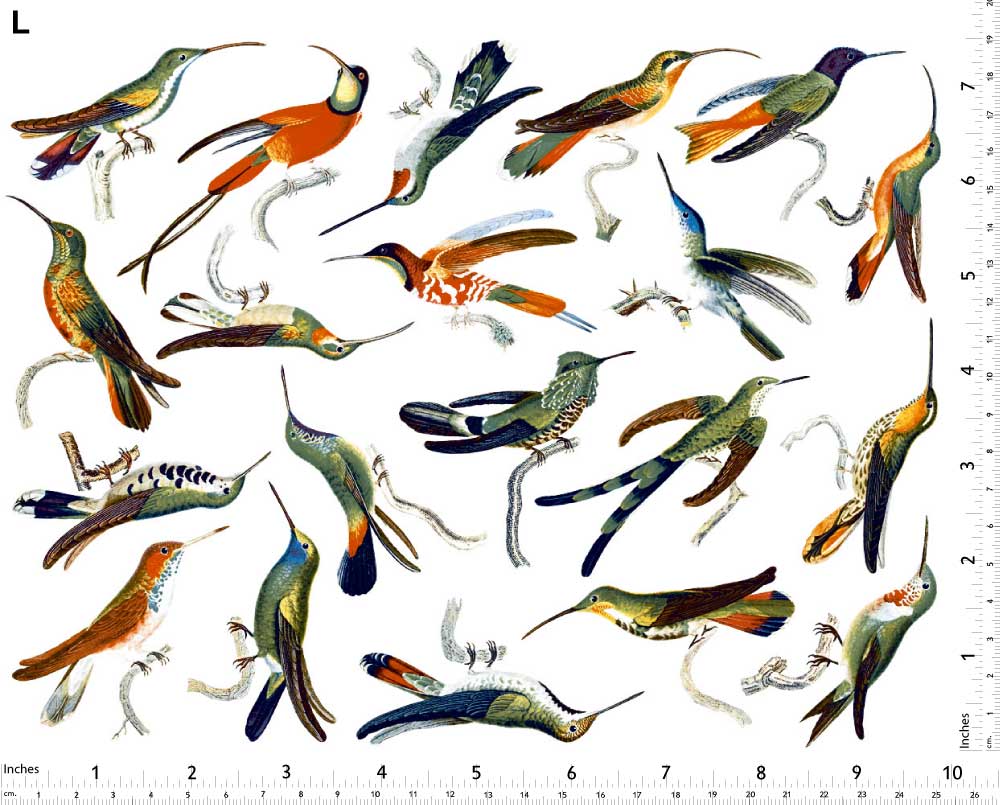 Décalcomanies de colibris colorés - Céramique Cône 017 - Verre fusionné - Émail