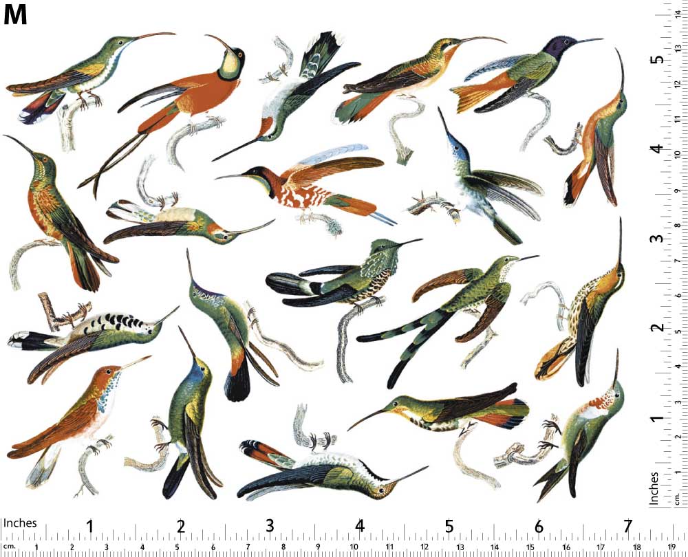 Décalcomanies de colibris colorés - Céramique Cône 017 - Verre fusionné - Émail