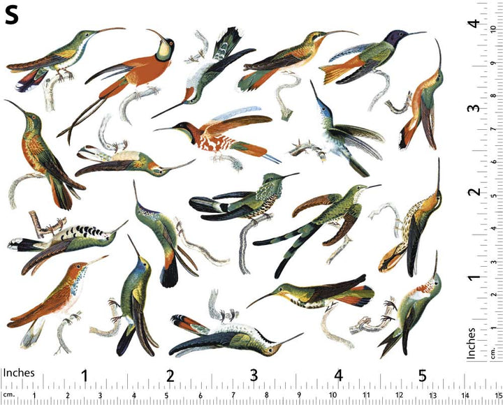 Décalcomanies de colibris colorés - Céramique Cône 017 - Verre fusionné - Émail