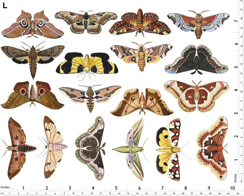 Papillon Coloré #1 Décalcomanies - Non adapté pour Produits Alimentaires - Céramique Cône 017 - Verre Fusionné - Émail