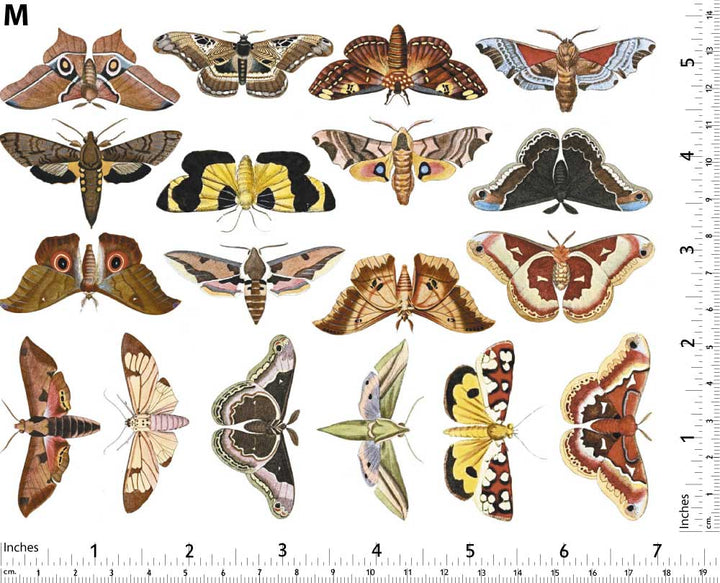 Papillon de nuit coloré n°2 Décalcomanies - Non adapté pour Produits Alimentaires - Céramique Cône 017 - Verre fusionné - Émail