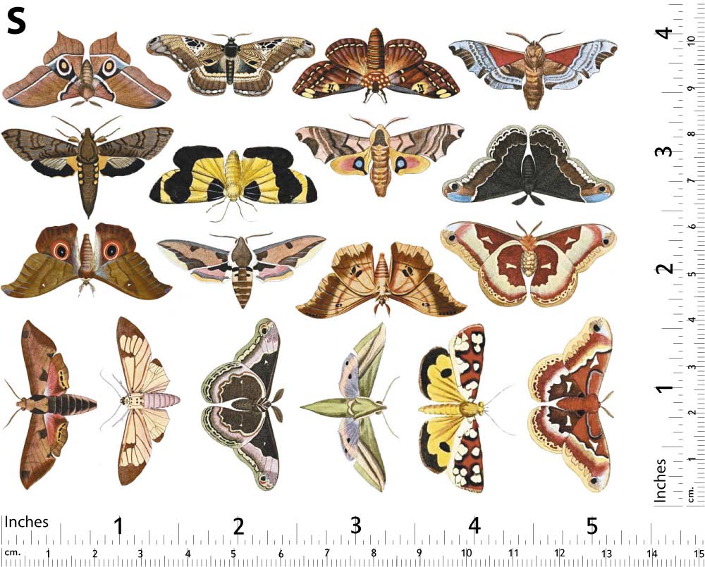 Papillon Coloré #1 Décalcomanies - Non adapté pour Produits Alimentaires - Céramique Cône 017 - Verre Fusionné - Émail