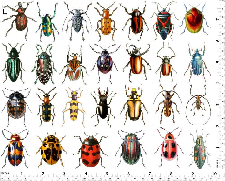 Décalcomanies de scarabées colorés - Non adapté pour Produits Alimentaires - Céramique Cône 017 - Verre fusionné - Émail