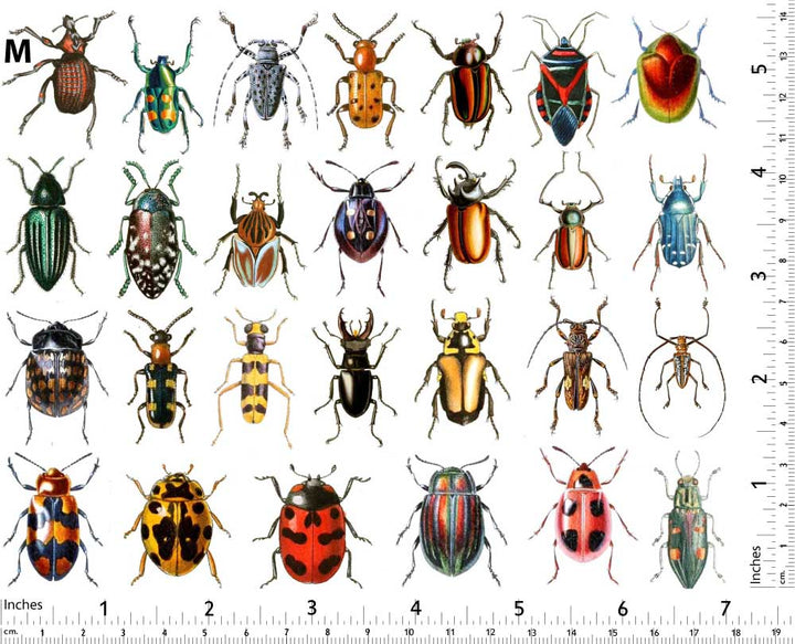 Décalcomanies de scarabées colorés - Non adapté pour Produits Alimentaires - Céramique Cône 017 - Verre fusionné - Émail