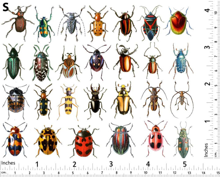 Décalcomanies de scarabées colorés - Non adapté pour Produits Alimentaires - Céramique Cône 017 - Verre fusionné - Émail