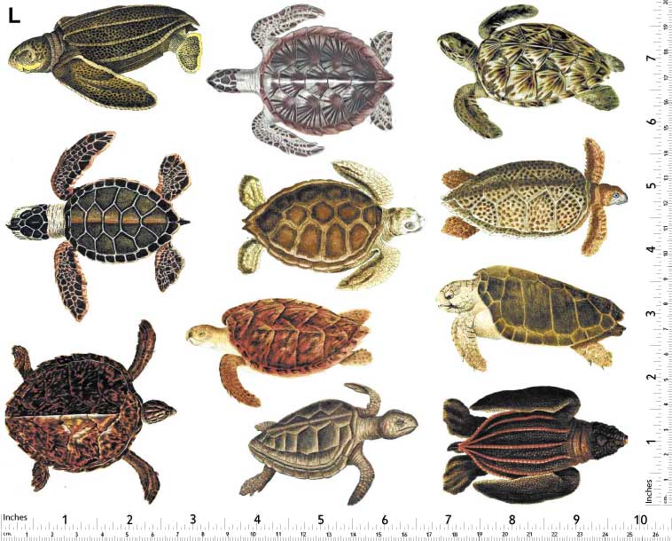 Bunte Meeresschildkröten-Aufkleber - Nicht lebensmittelecht - Keramikkegel 017 - Geschmolzenes Glas