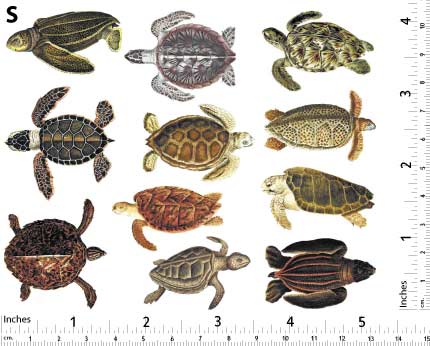 Bunte Meeresschildkröten-Aufkleber - Nicht lebensmittelecht - Keramikkegel 017 - Geschmolzenes Glas