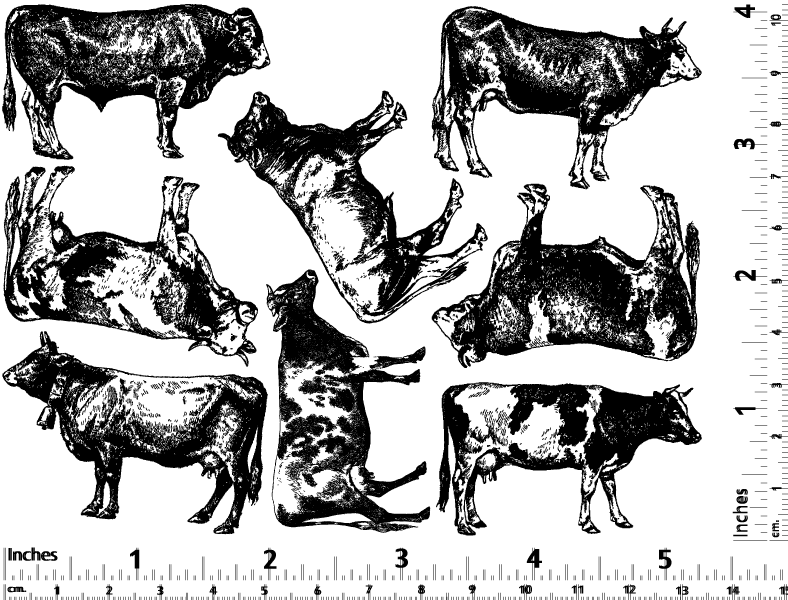 Kuh-Aufkleber - Glaswaren - Emaille