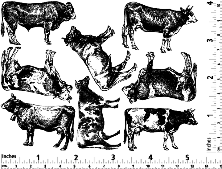 Kuh-Aufkleber - Glaswaren - Emaille