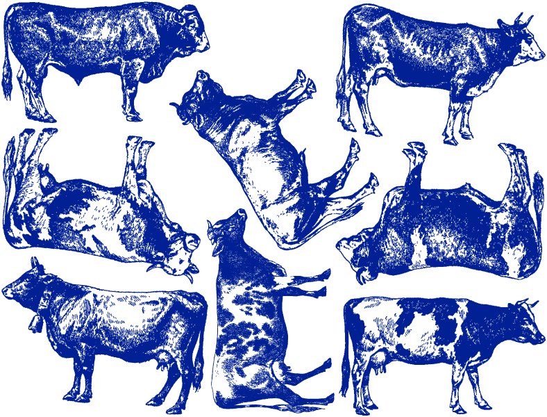 Décalcomanies Vache - Céramique Cône 017 - Verre Fusionné - Émail