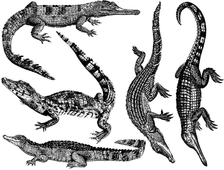 Alligator and Crocodile Decals - Cone 017 - Fused Glass 