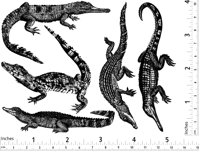 Alligator- und Krokodil-Aufkleber - Keramikkegel 017 - Geschmolzenes Glas