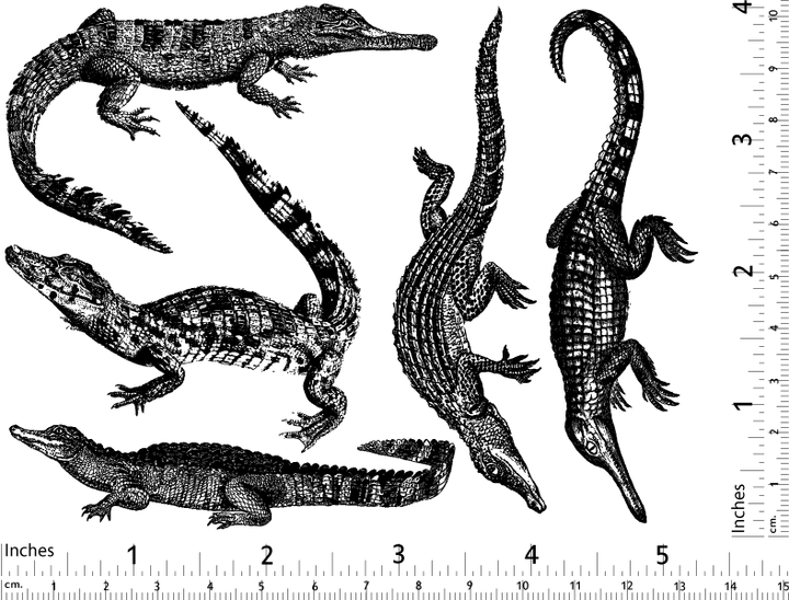Alligator- und Krokodil-Aufkleber - Keramikkegel 017 - Geschmolzenes Glas