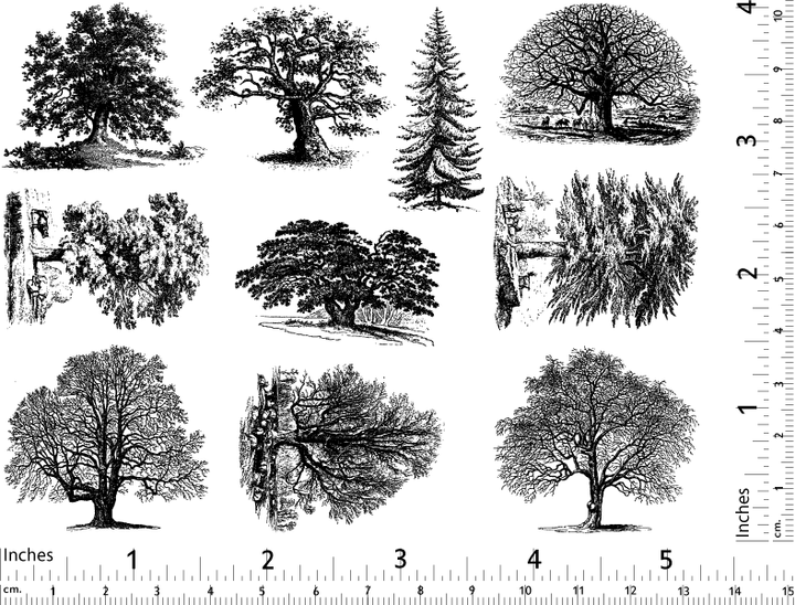 Décalcomanies d'arbres détaillées - Céramique Cône 6 - En-glaçure