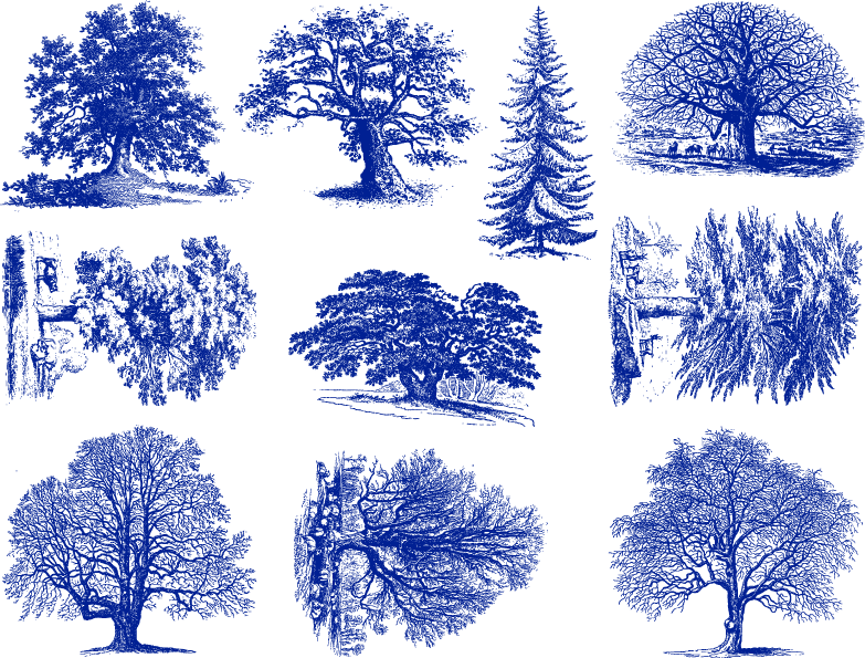 Detailed Tree Decals - Ceramic Cone 6 - Inglaze – Milestone Decal Art