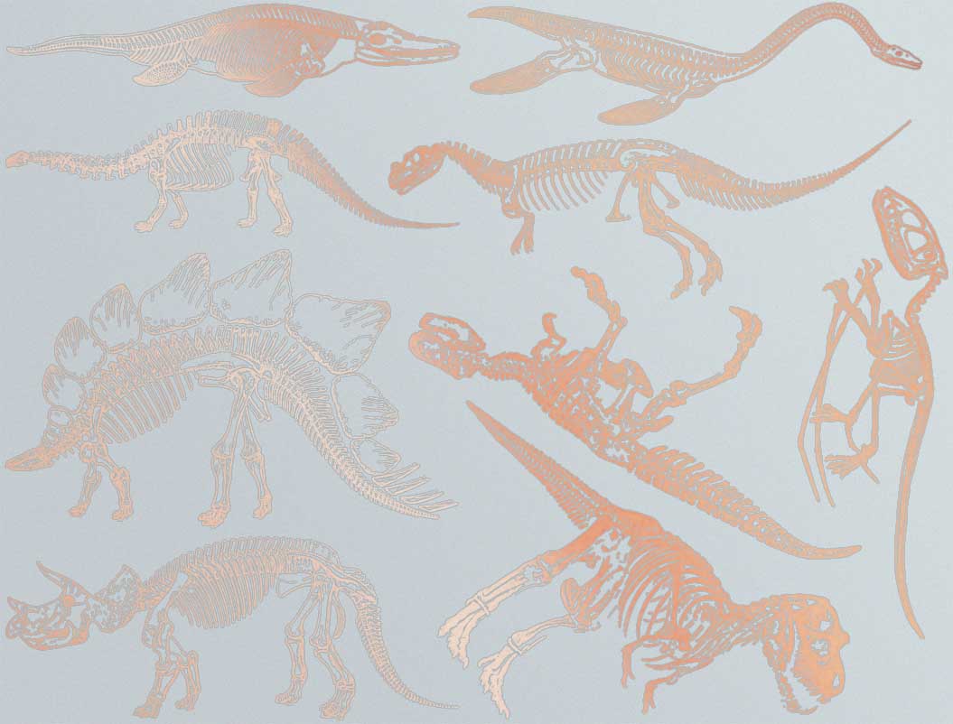 Décalcomanies de squelette de dinosaure - Céramique Cône 017 - Verre fusionné - Émail