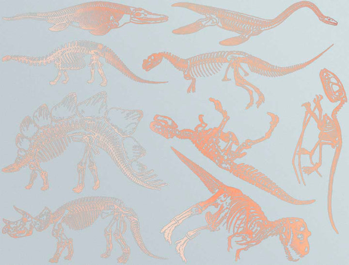 Décalcomanies de squelette de dinosaure - Céramique Cône 017 - Verre fusionné - Émail