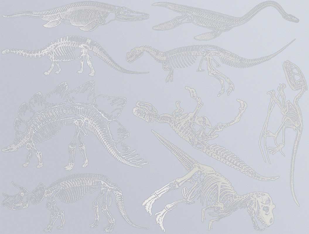 Décalcomanies de squelette de dinosaure - Céramique Cône 017 - Verre fusionné - Émail