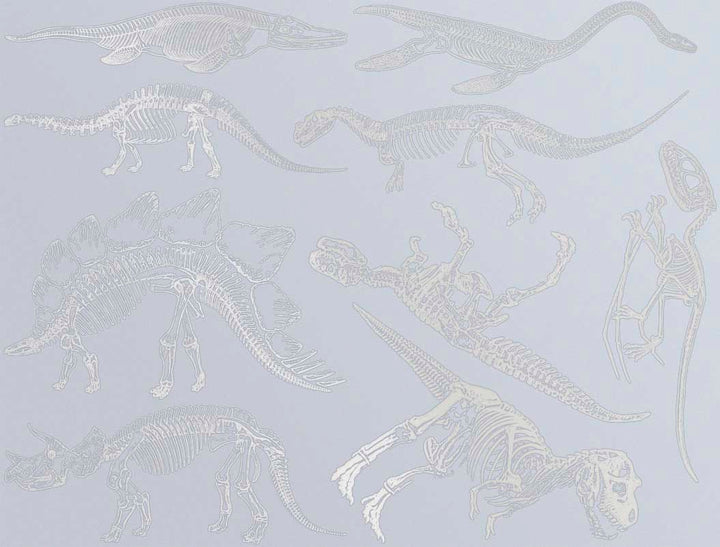 Décalcomanies de squelette de dinosaure - Céramique Cône 017 - Verre fusionné - Émail