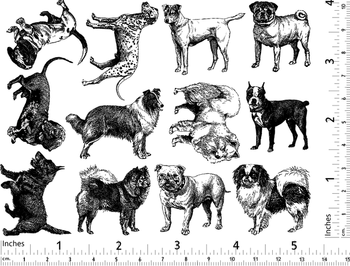 Décalcomanies de races de chiens - Verrerie - Émail