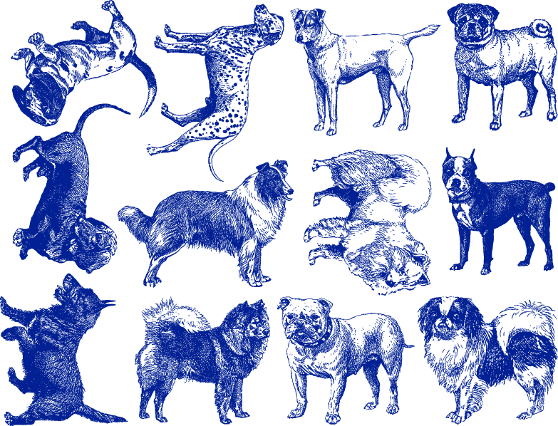 Aufkleber mit Hunderassen - Keramikkegel 017 - Geschmolzenes Glas