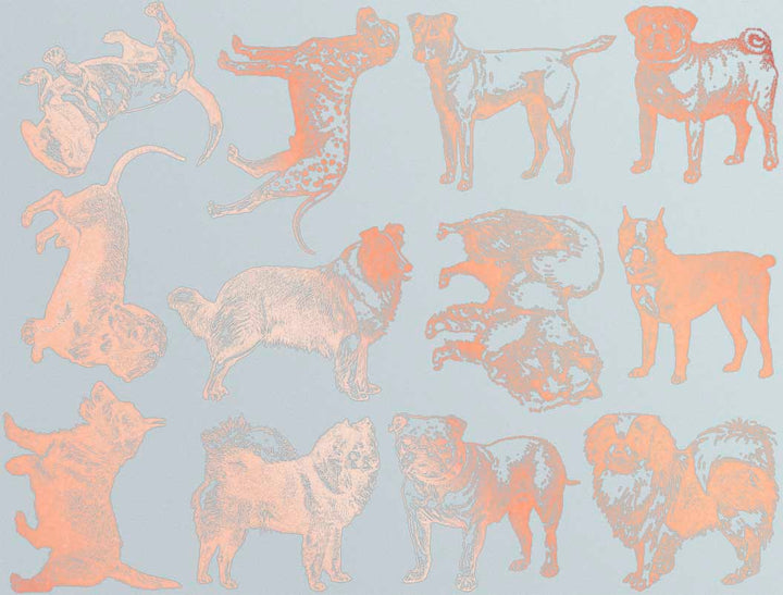 Décalcomanies de races de chiens - Verrerie - Émail