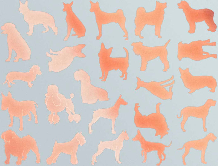 Décalcomanies Silhouette de chien - Verrerie - Émail