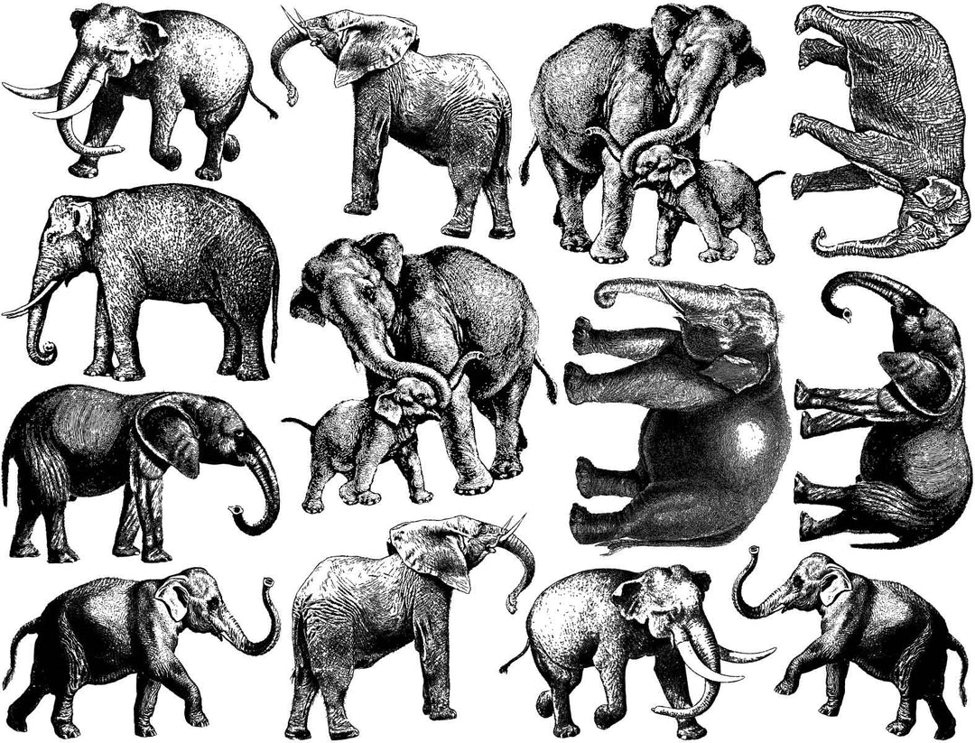 Éléphant Décalcomanies - Céramique Cône 017 - Verre fusionné - Émail