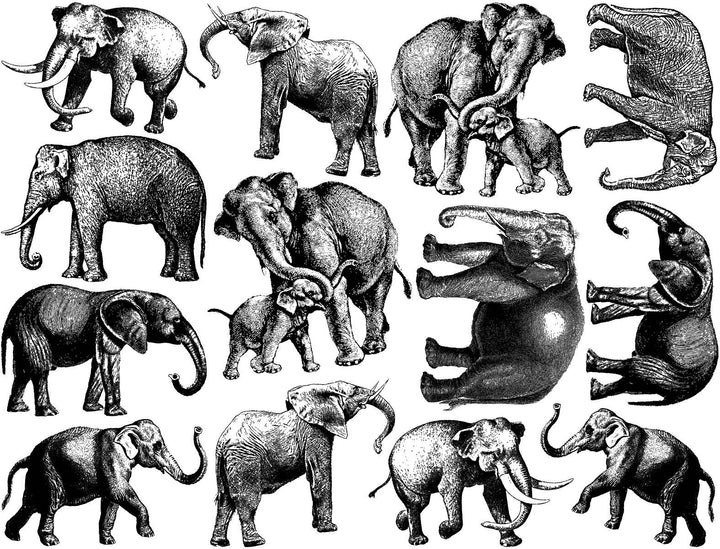 Éléphant Décalcomanies - Céramique Cône 017 - Verre fusionné - Émail