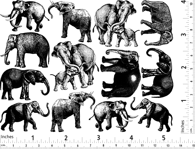 Éléphant Décalcomanies - Céramique Cône 017 - Verre fusionné - Émail