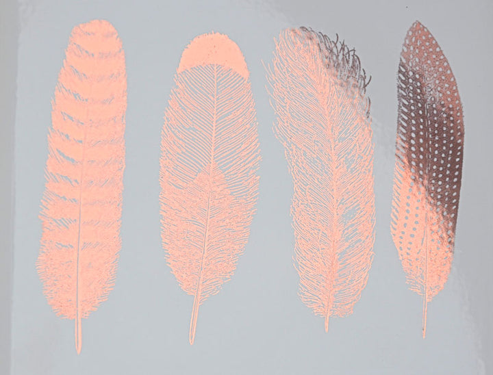 Grande Plume #1 Décalcomanies - Céramique Cône 017 - Verre Fusionné - Émail