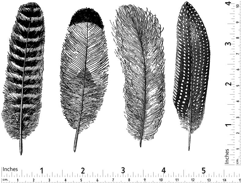Grande Plume n°1 Décalcomanies - Verrerie - Émail