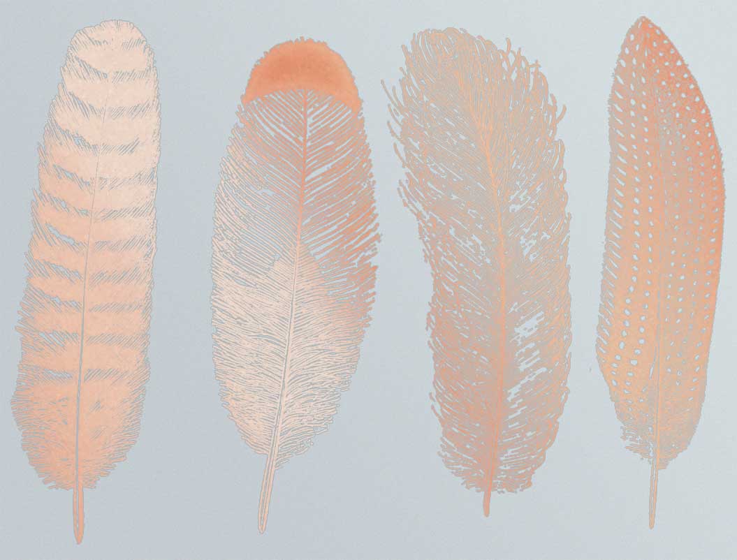 Grande Plume n°1 Décalcomanies - Verrerie - Émail