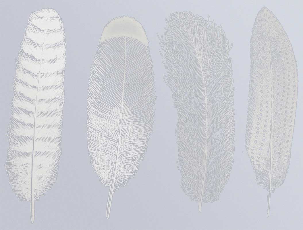 Grande Plume #1 Décalcomanies - Céramique Cône 017 - Verre Fusionné - Émail